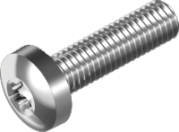Maskingängad skruv, kullrig torx A4, DIN 9460